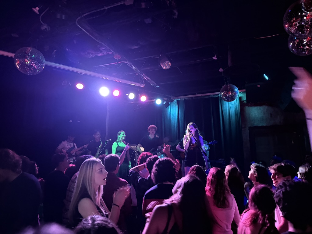 The crowd dancing under purple light